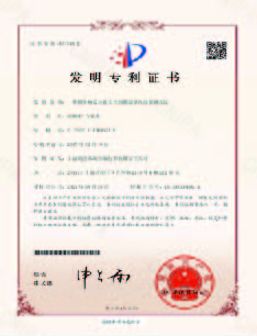 一種膜生物反應(yīng)器工藝的膜通量在線預測方法